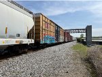 TBOX 641548